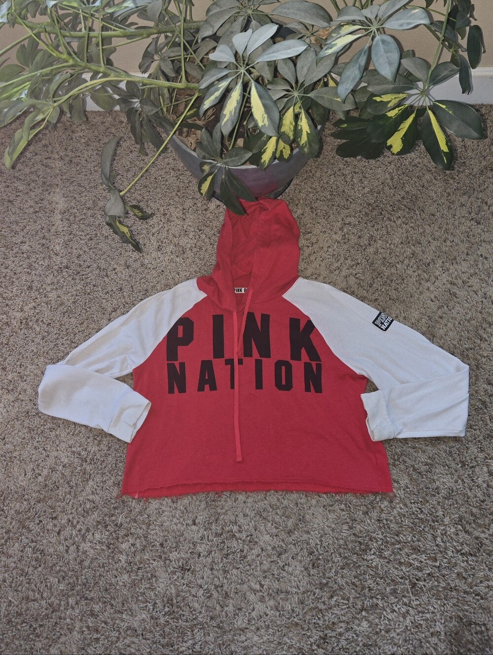 Vs Pink, Pink Nation Cropped Hoodie
